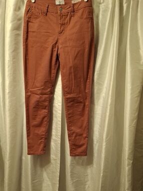 Curve Appeal Women's Mauve Skinny Jeans